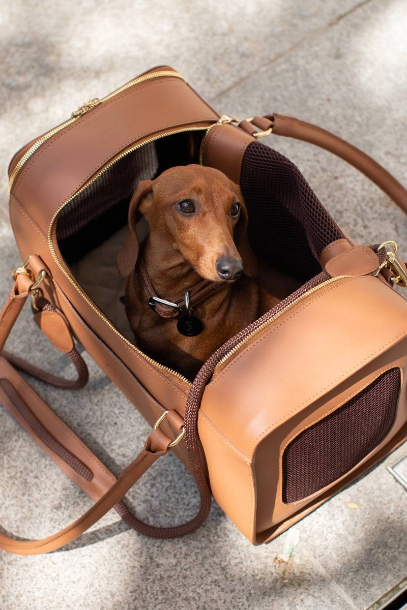 LOOP COLLAR IN ESPRESSO BROWN | SILVER