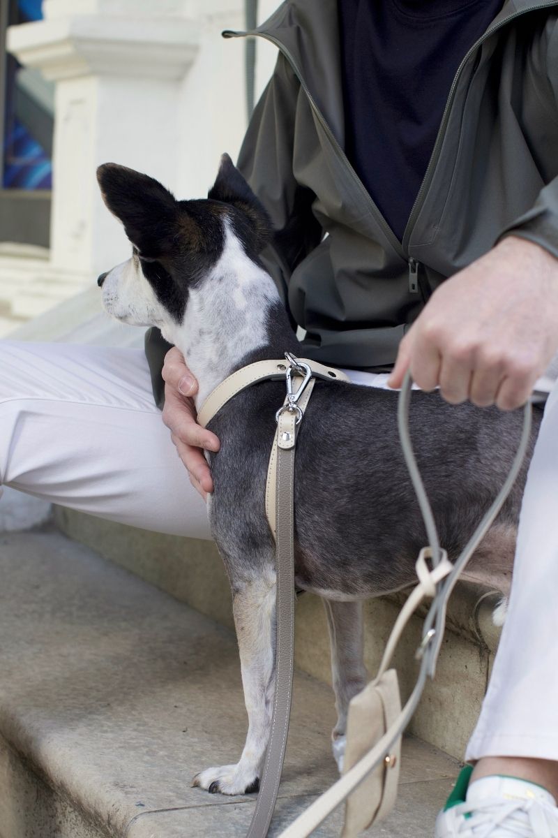 LEATHER LEASH IN BEIGE-TAUPE