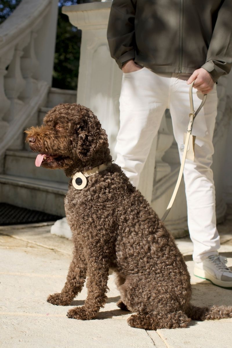 LEATHER COLLAR IN BEIGE-TAUPE