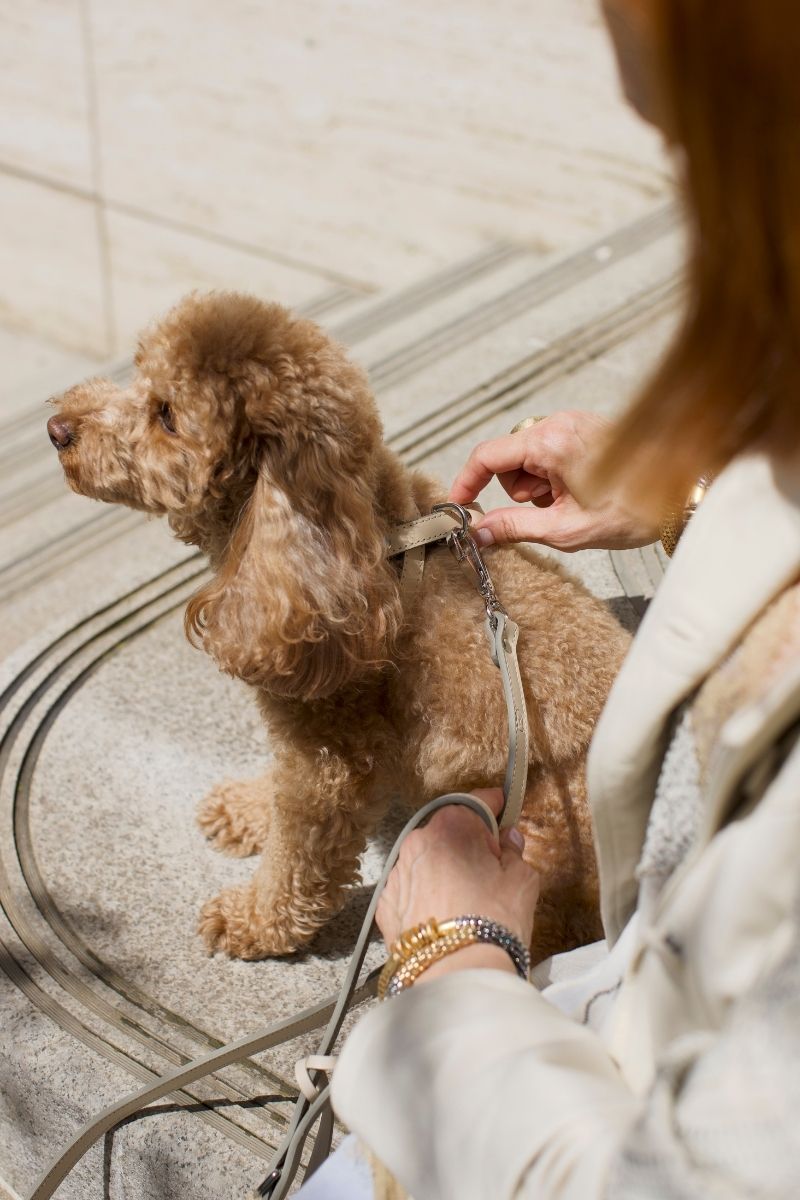 CROSS HARNESS IN BEIGE-TAUPE