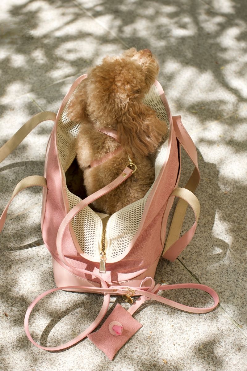 CROSS HARNESS IN POWDER-PINK