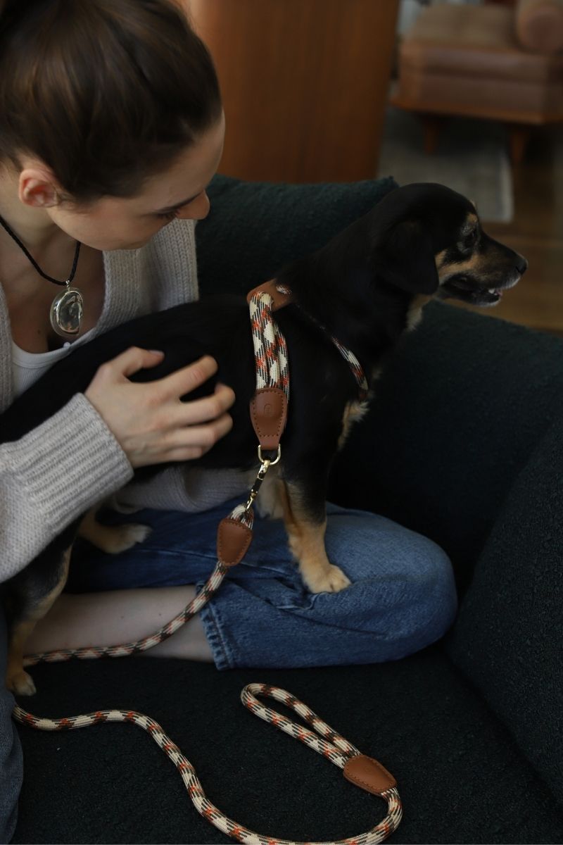 LOOP LEASH CARAMEL MIX | GOLD