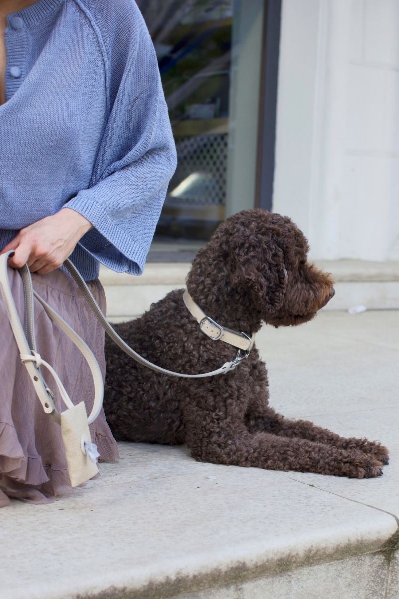 LEATHER COLLAR IN BEIGE-TAUPE