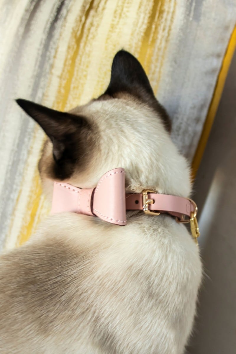 MINI COLLAR IN PINK