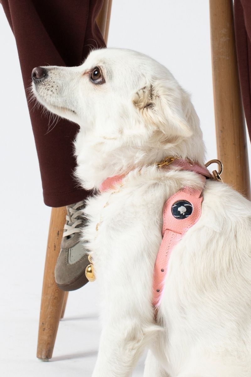 CANDY PINK AIRTAG CASE