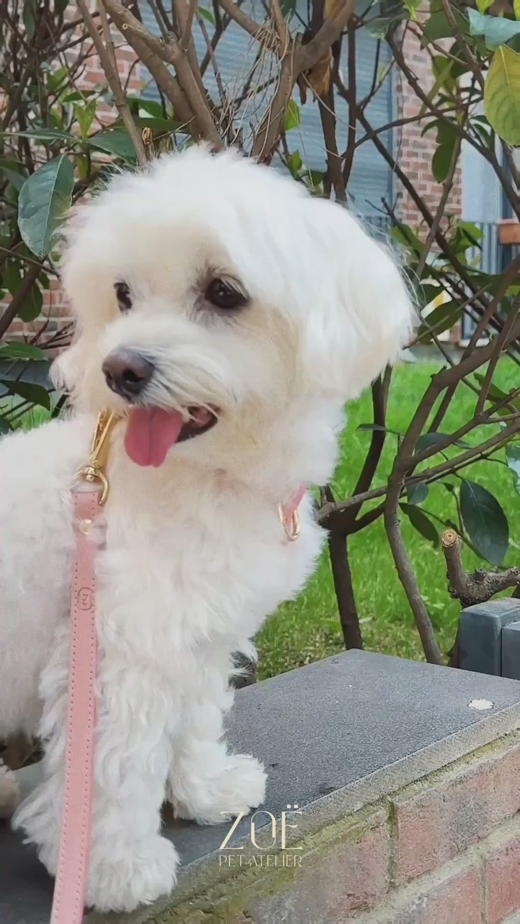 LEATHER LEASH IN POWDER PINK