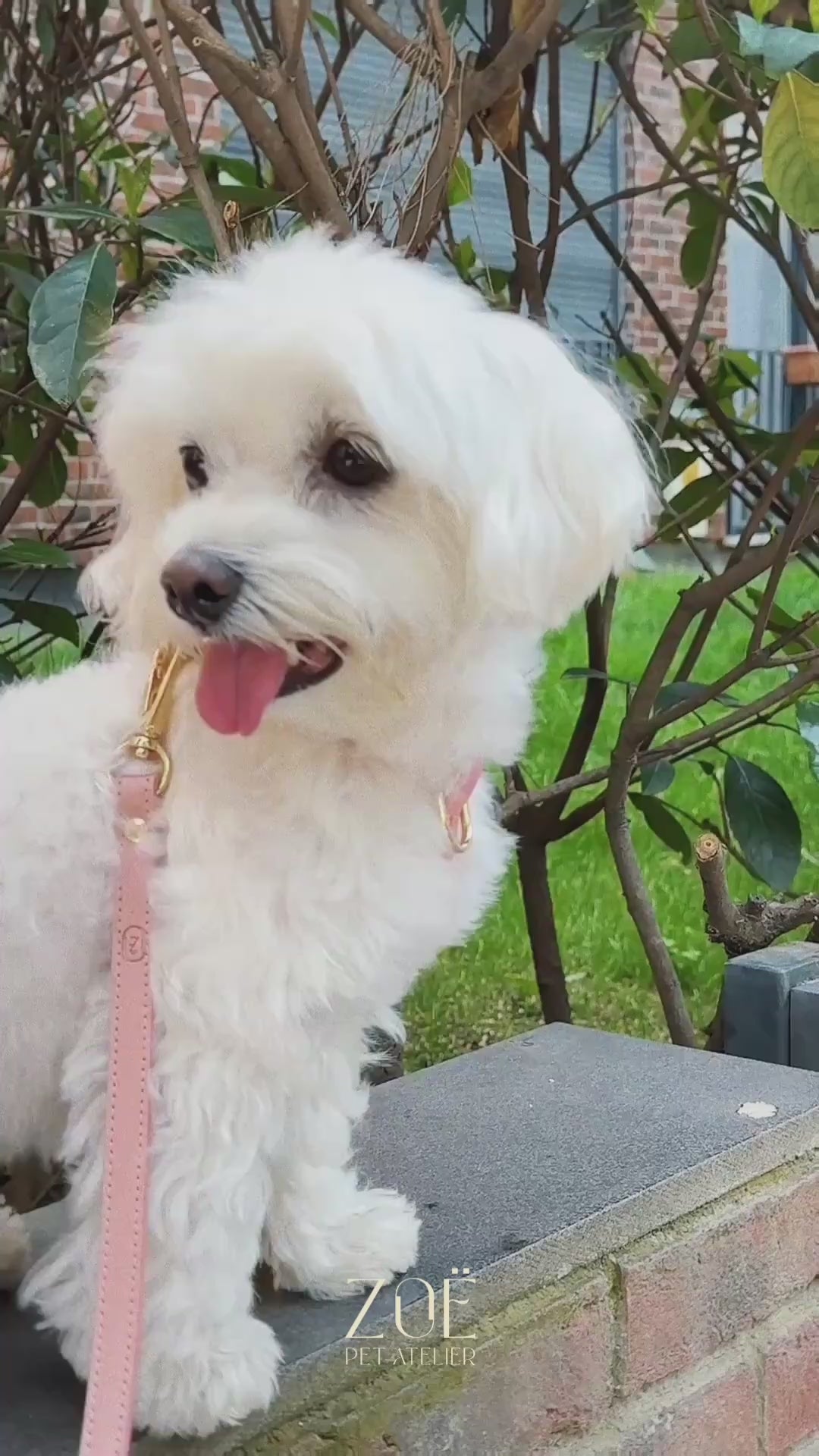 LEATHER HARNESS IN POWDER PINK