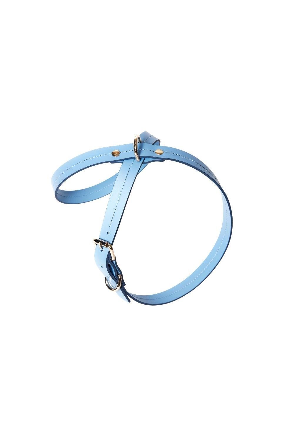 CROSS HARNESS IN BLUE
